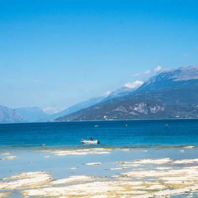 云开官方app下载