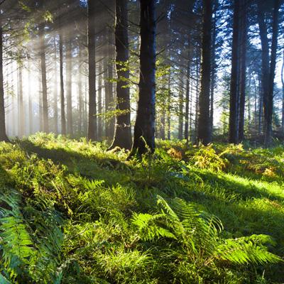 ku体育app官网版下载