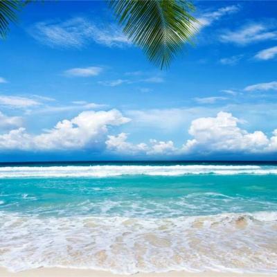 半岛网页版入口截图