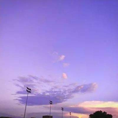 BET9登录APPapp下载