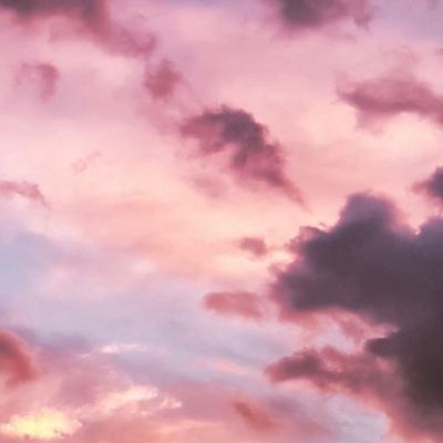 天博网页版登录界面